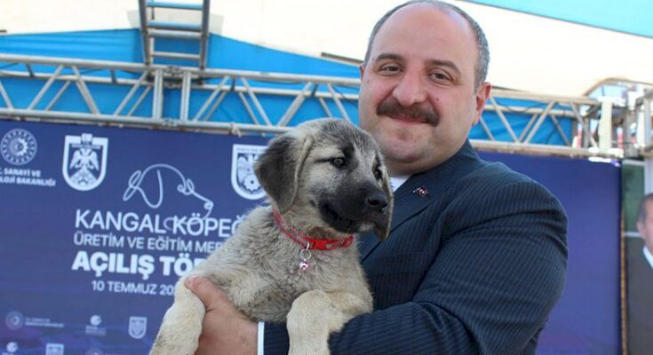 AKP’li Varank’tan katliama destek açıklaması: ‘Uyutmayı’ sonuna kadar destekleyeceğim